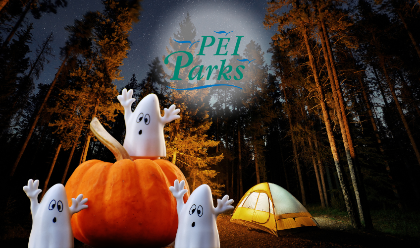 Cabot Beach Halloween in the Park