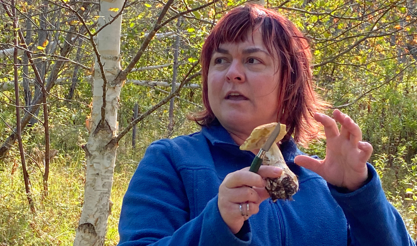 Wild Mushroom Foraging & Tasting