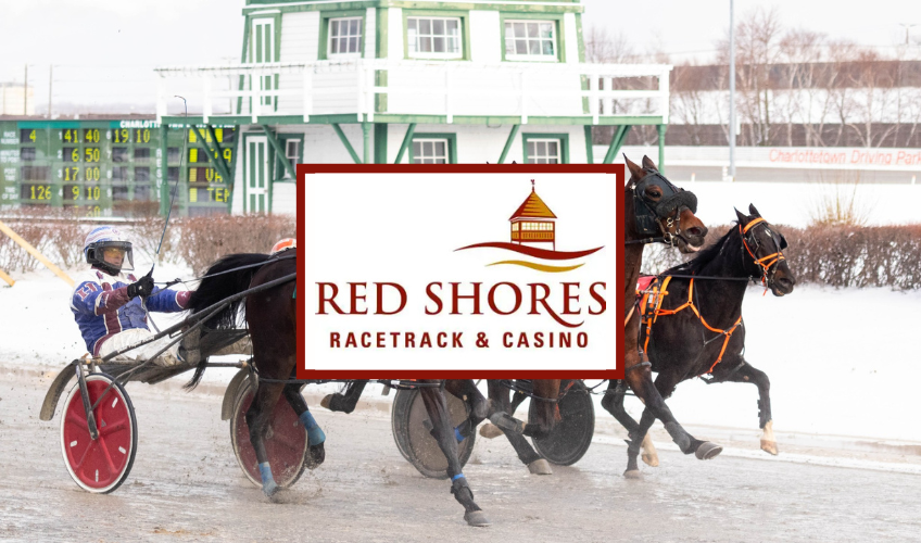 Red Shores Harness Racing - January 17