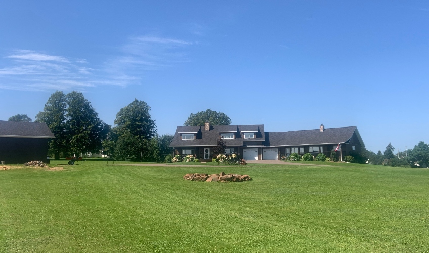 Sandbar Secrets Country Suite