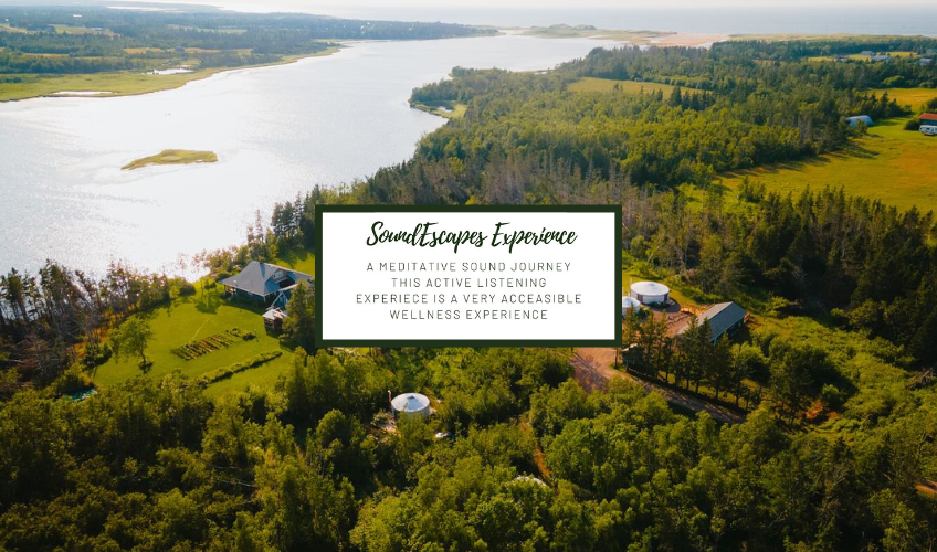 SoundEscapes Soundbath Experience - November 28