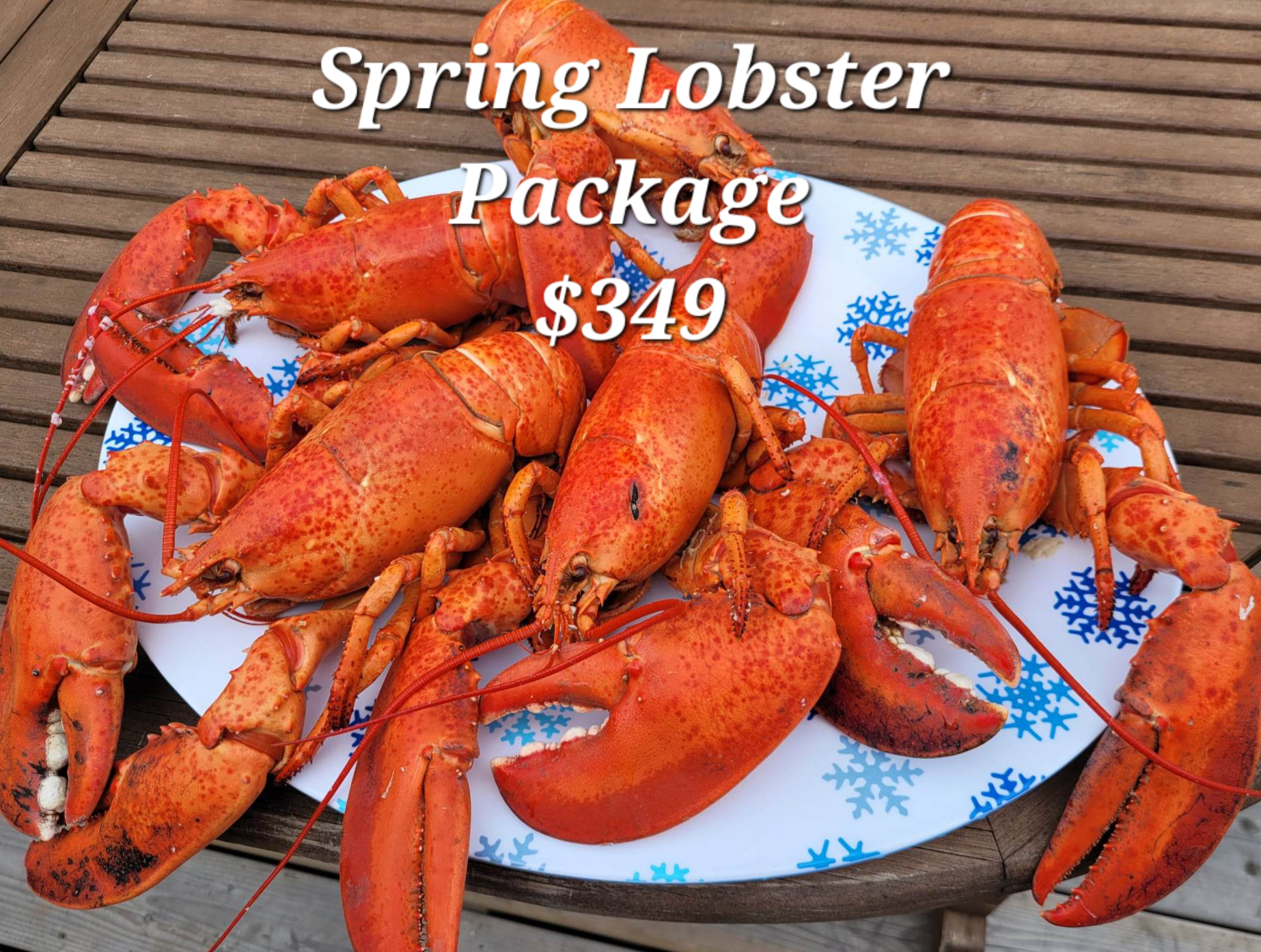 Spring Lobster Package