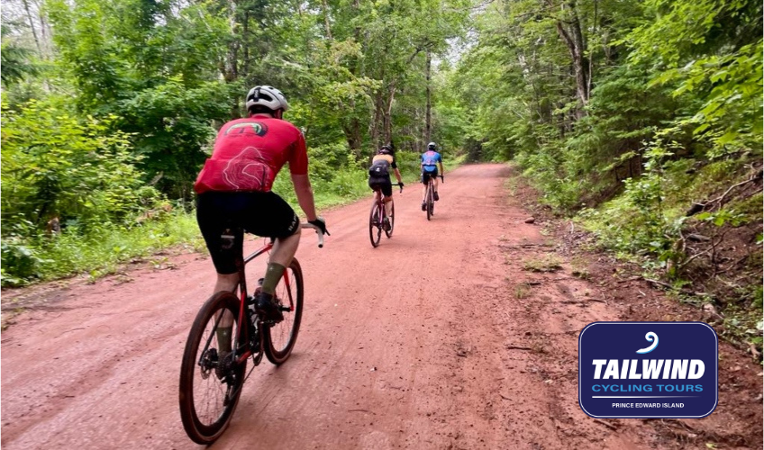 Tailwind Cycling Tours Tailwind Cycling Tours