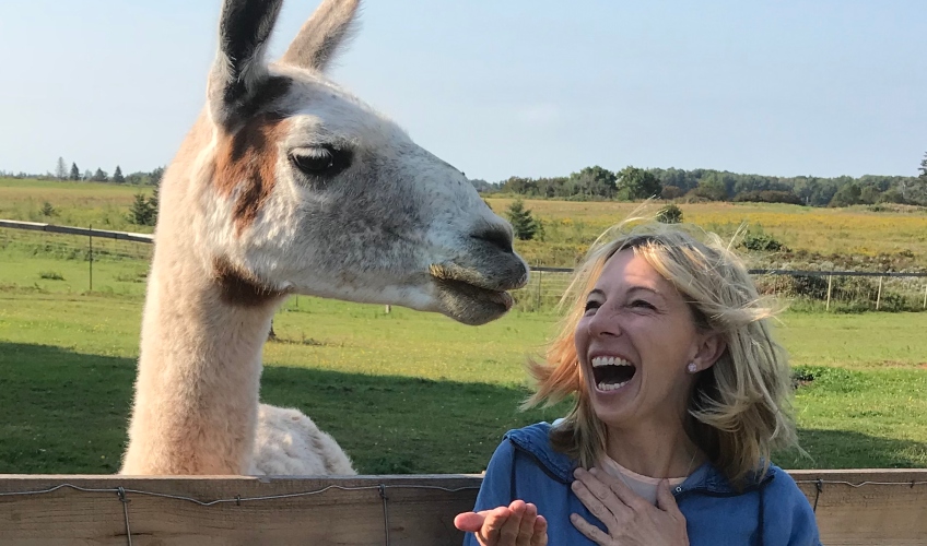Tales of the Twist: Alpacas from Farm to Yarn