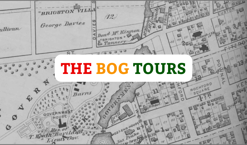 The Bog Tour The Bog Tour