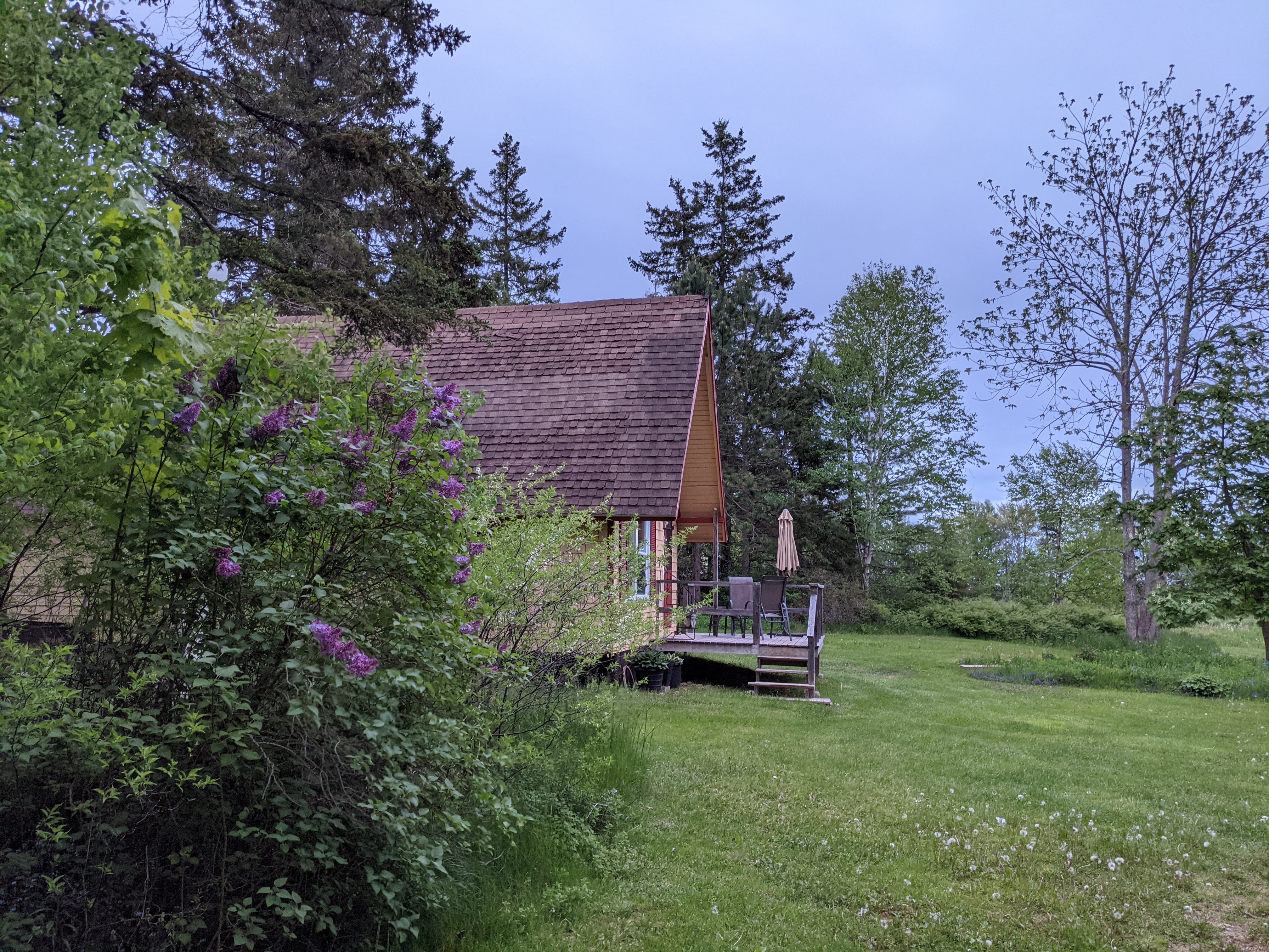 The Little House on Valleyfield