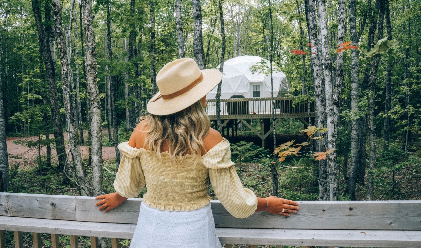 Treetop Haven