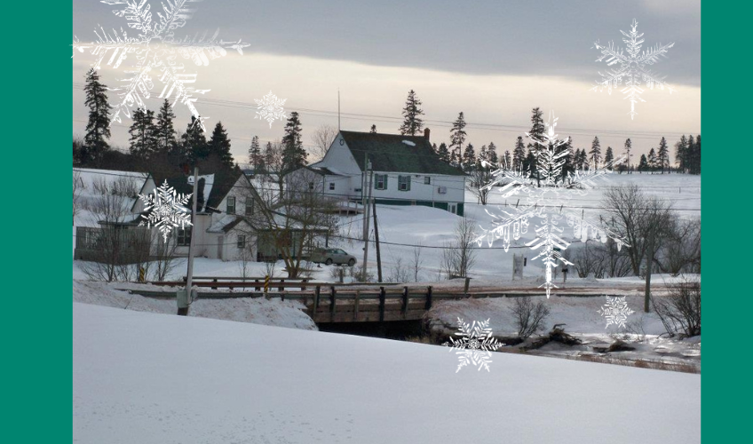 Wheatley River Country Craft Fair