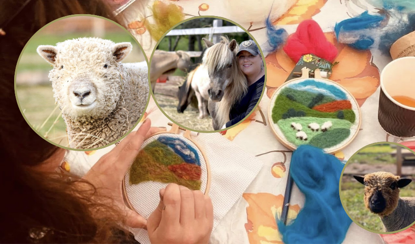 Wool & Whimsy: A Felted Journey on the Farm