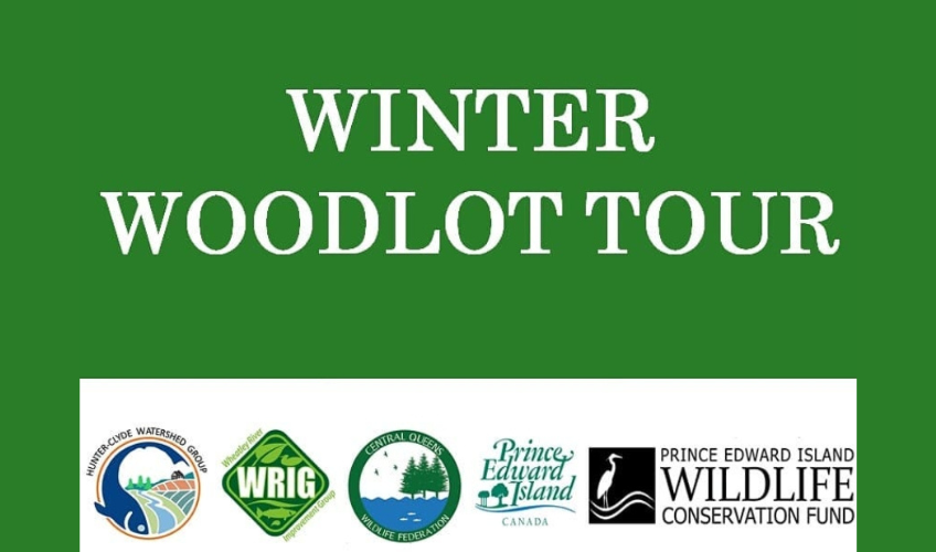 Winter Woodlot Tour