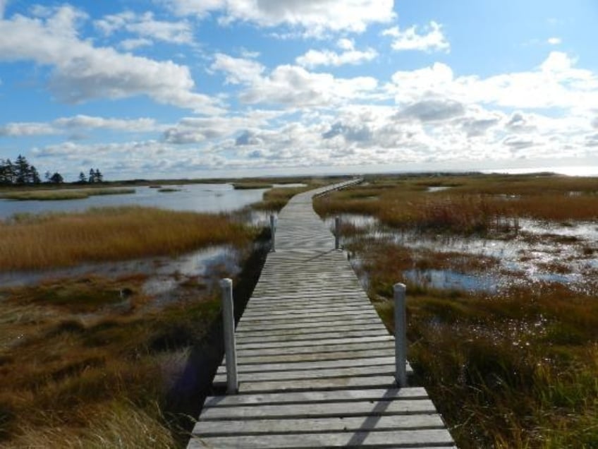 Century Farm Waterfront Cottages