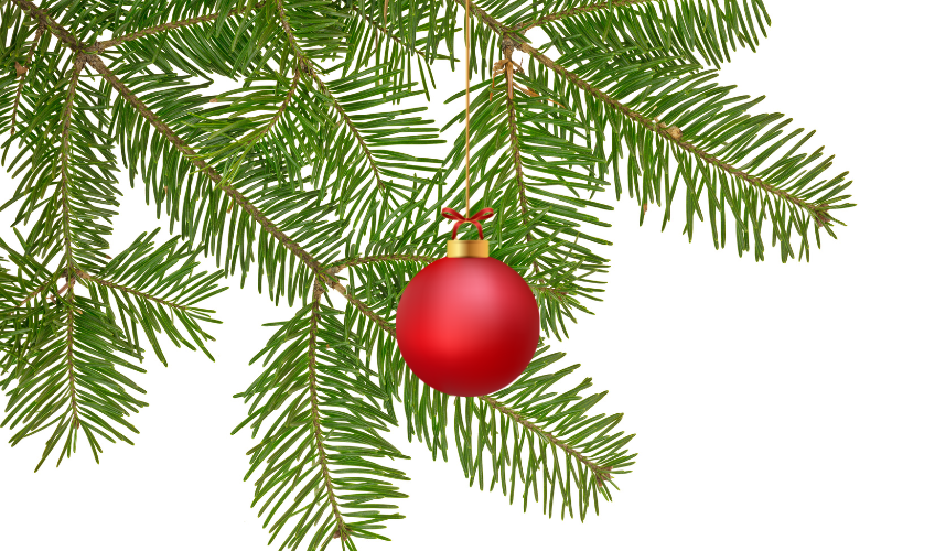 Spring Park Holiday Market