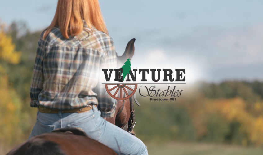 Adult Fun Night - November 28