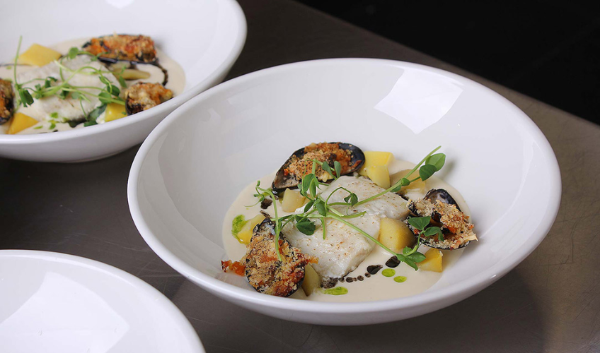 fluke at Hotel Acadia