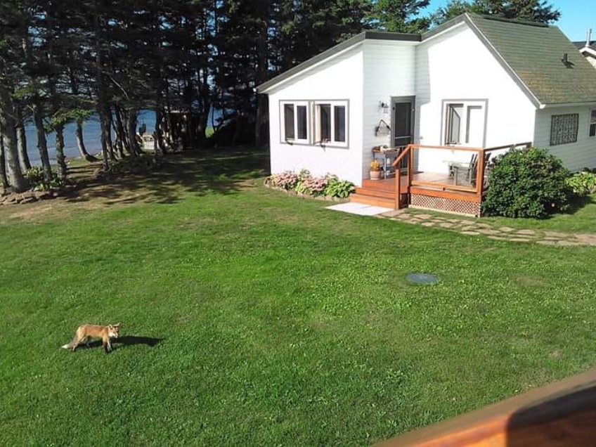 Fox Cottage