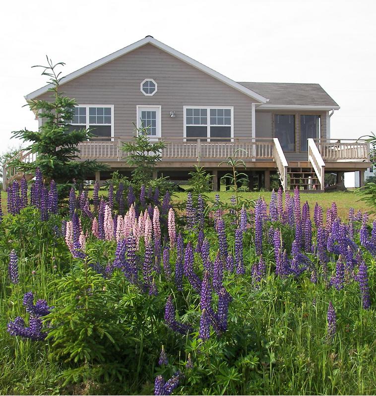 Bowater Beach House