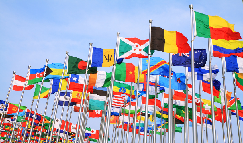 A Taste of Global Flavours