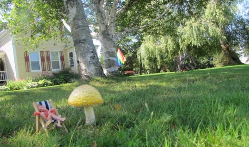 Green Gay Bulls B&B