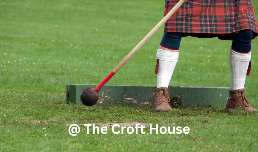 Belfast Celtic Festival & Highland Games Belfast Celtic Festival & Highland Games