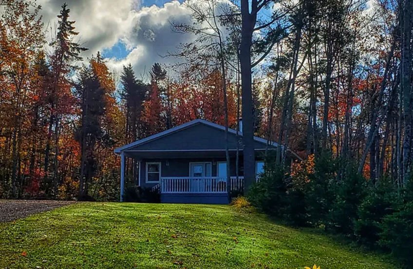 In The Woods Cottages