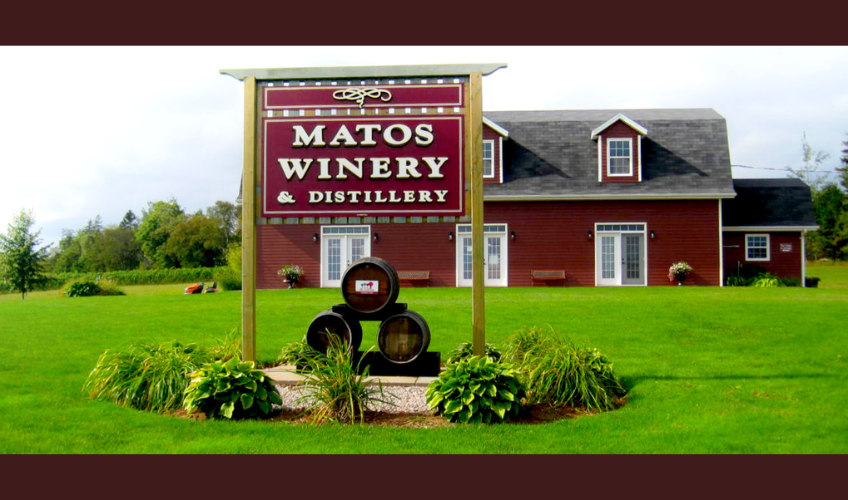 Matos Winery & Distillery