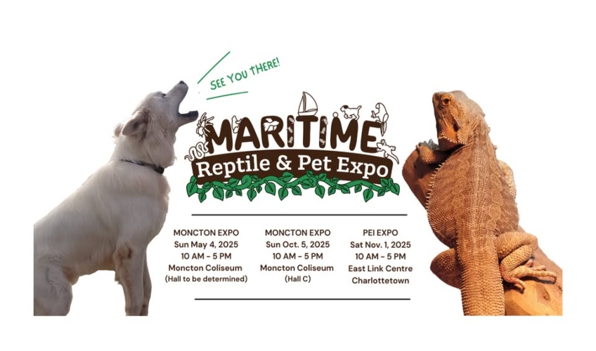 Maritime Reptile & Pet Expo Maritime Reptile & Pet Expo