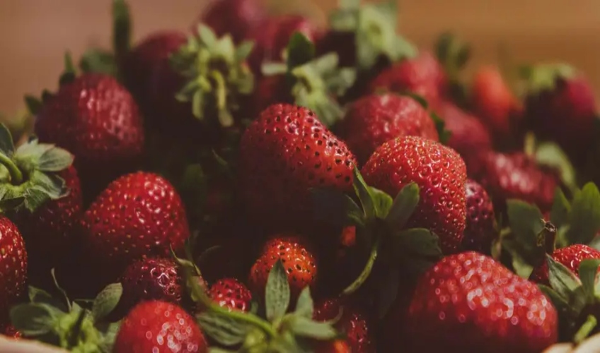 Canoe Cove Strawberry Social