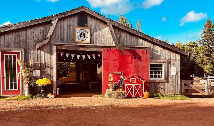 Wool & Whimsy: A Felted Journey on the Farm
