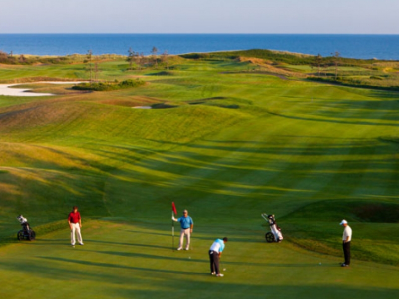 Aerial view of people playing golf in a golf course