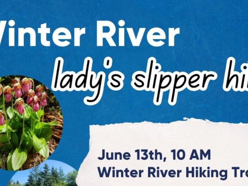 Lady Slipper Walk