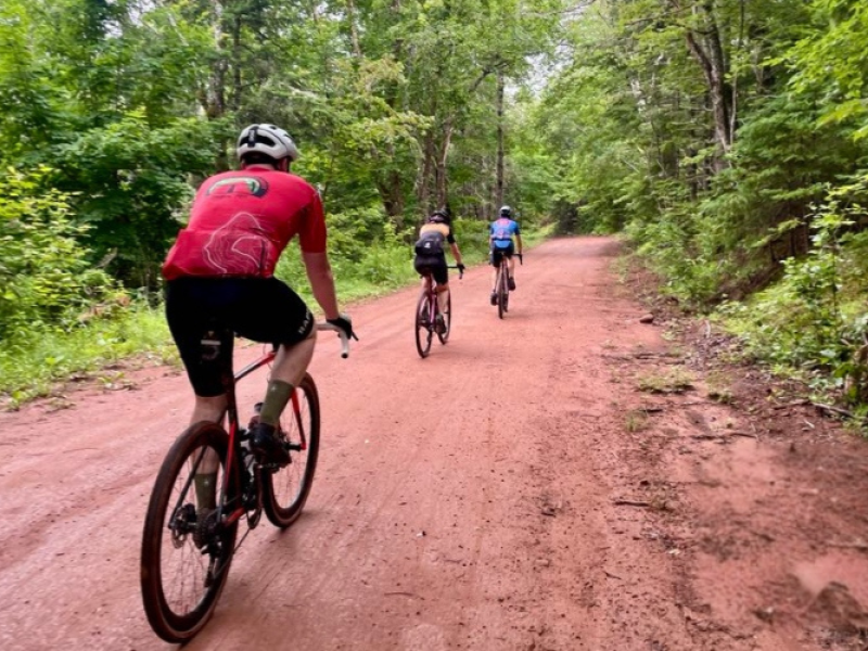 Tailwind Cycling Tours