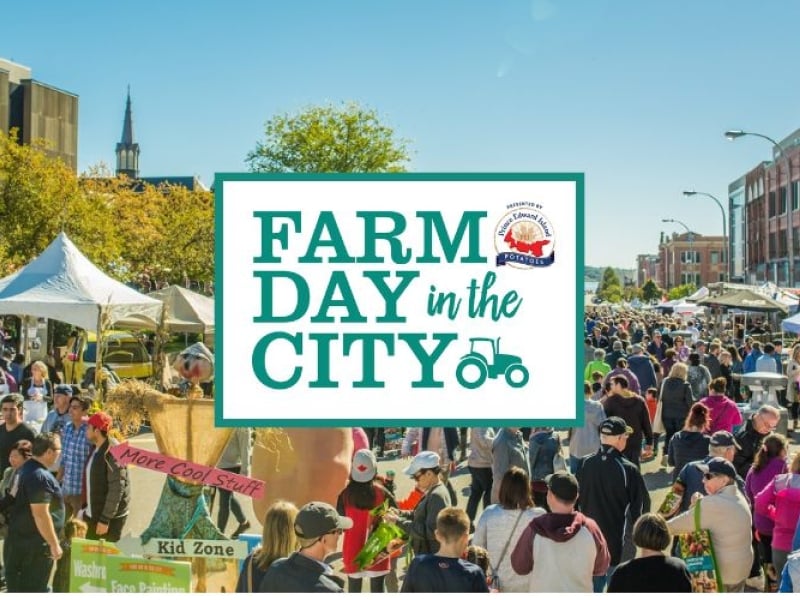 Farm Day in the City