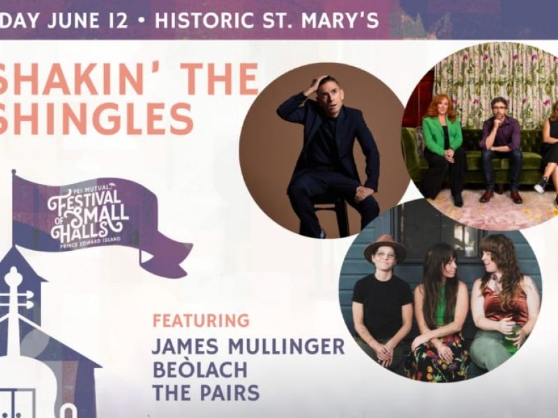 Shakin’ the Shingles