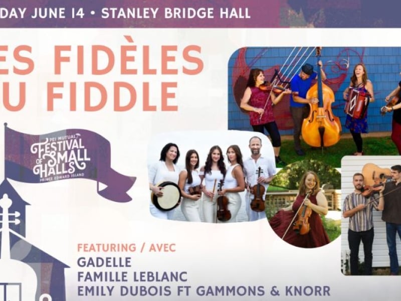 Les fidèles du fiddle