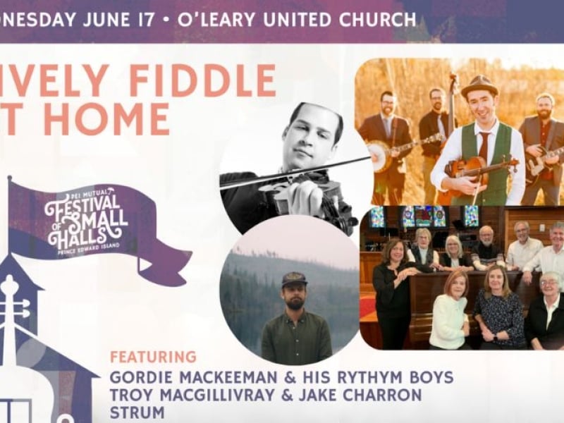 Lively Fiddle at Home