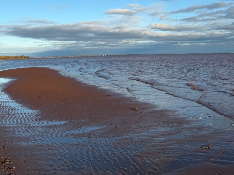 RJ Rentals PEI