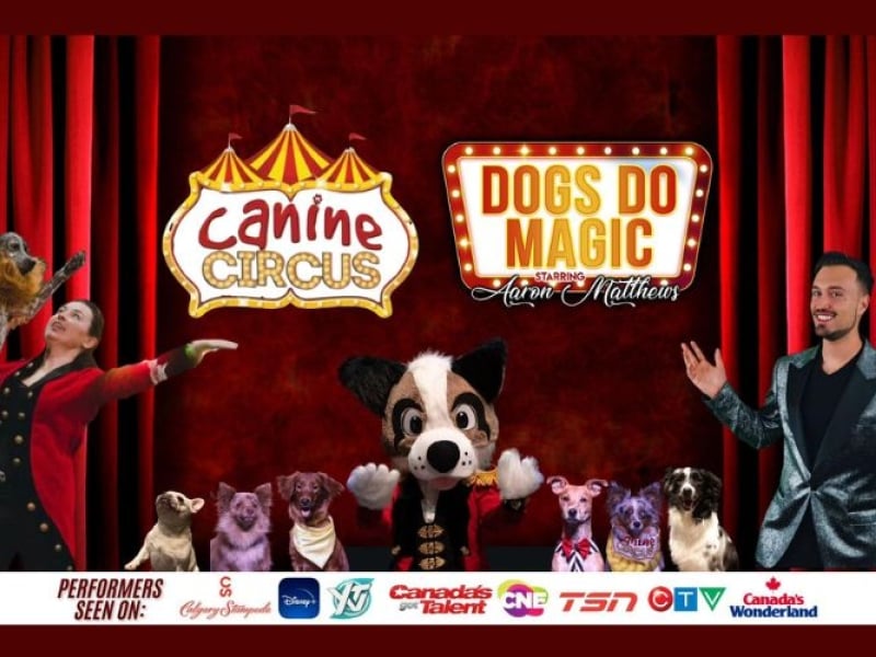 Dogs Do Magic