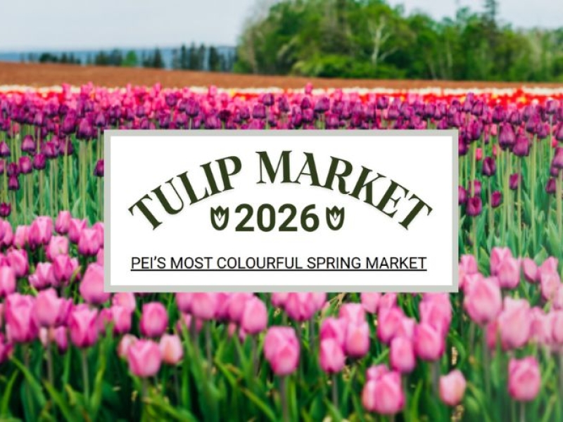 Tulip Market