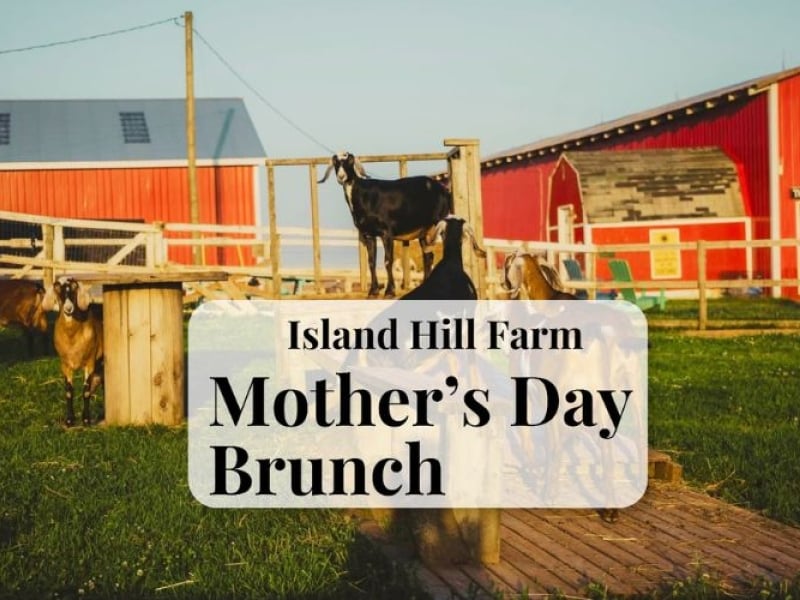 Mother's Day Farm Brunch