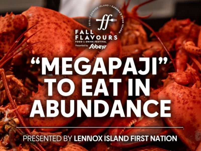 "Megapaji" To Eat In Abundance