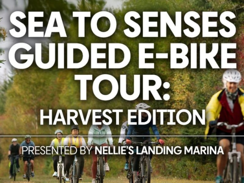 Sea to Senses Guided E-Bike Tour: Harvest Edition