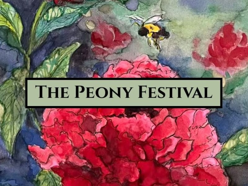 Peony Festival