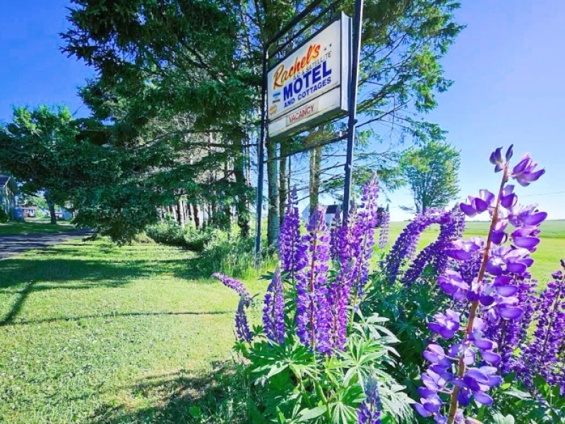 Rachel's Motel & Cottages