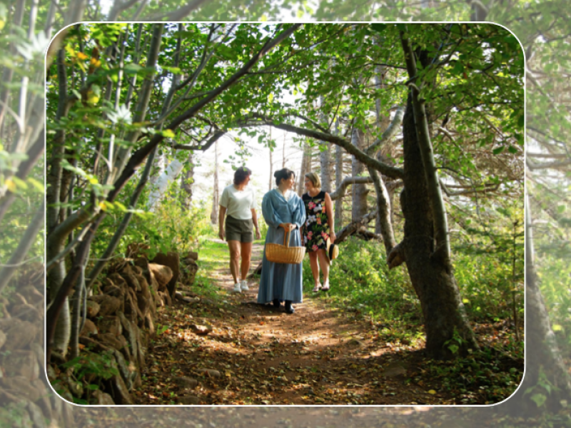 Step into Maud's World - Anne of Green Gables Walking Tour