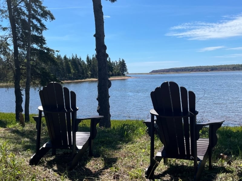 Shoreline Vista