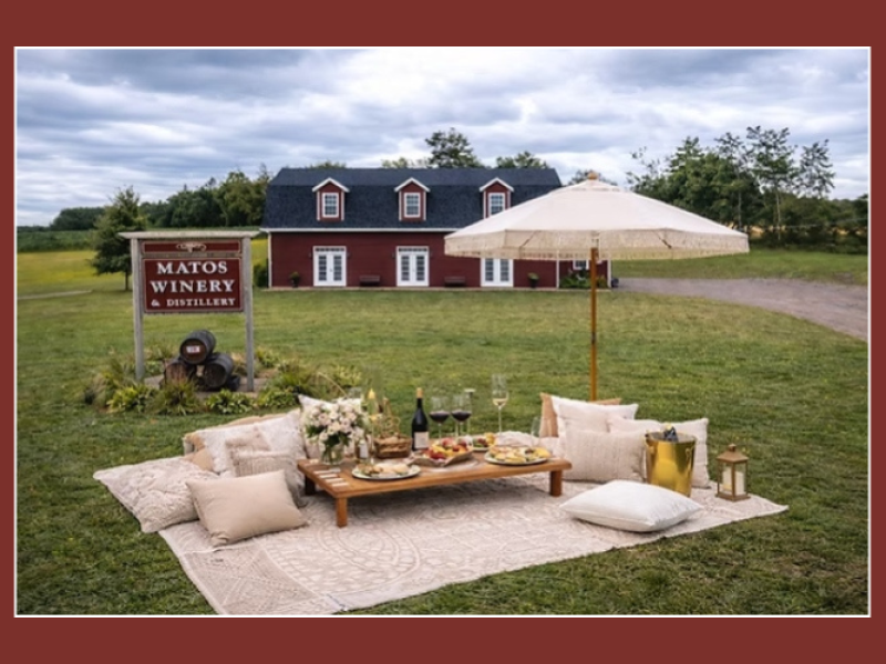 Red Island Picnics & Events