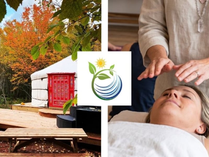 Fall Chakra Reset