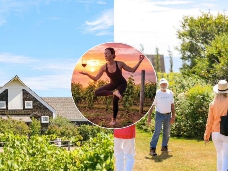 Blissful Island Yoga and Wine Tour - September 6