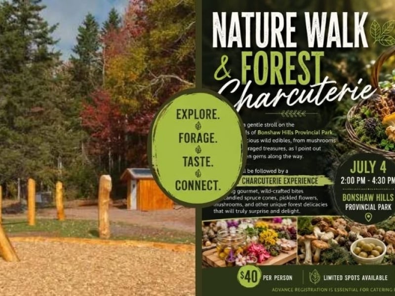 Nature Walk & Forest Charcuterie