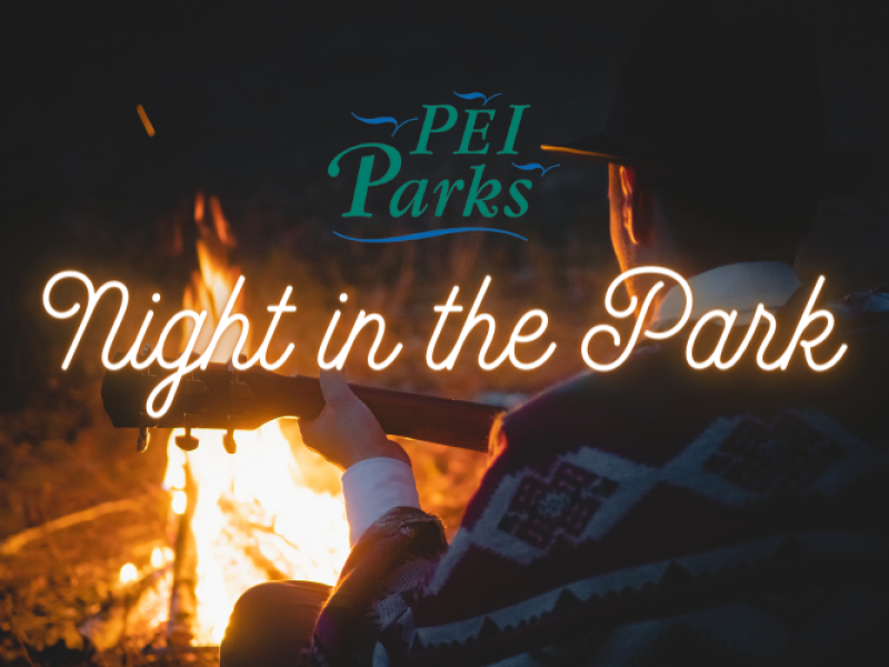 Cedar Dunes Night in the Park - August 28